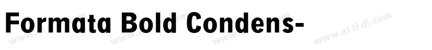 Formata Bold Condens字体转换